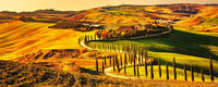 Dimex Tuscany Wall Mural 375x150cm 5 Panels | Yourdecoration.com