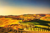 Dimex Tuscany Wall Mural 375x250cm 5 Panels | Yourdecoration.com