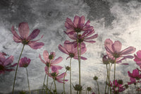 Dimex Violet Flower Abstract Wall Mural 375x250cm 5 Panels | Yourdecoration.com