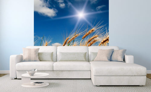 Dimex Wheat Field Wall Mural 225x250cm 3 Panels Ambiance | Yourdecoration.com