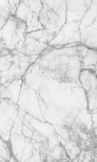 Dimex White Marble Wall Mural 150x250cm 2 Panels | Yourdecoration.com