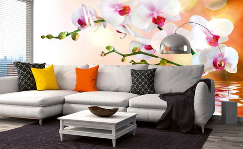 Dimex White Orchid Wall Mural 375x250cm 5 Panels Ambiance | Yourdecoration.com