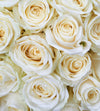 Dimex White Roses Wall Mural 225x250cm 3 Panels | Yourdecoration.com