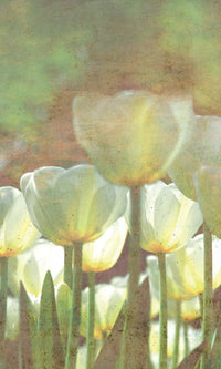 Dimex White Tulips Abstract Wall Mural 150x250cm 2 Panels | Yourdecoration.com