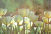 Dimex White Tulips Abstract Wall Mural 375x250cm 5 Panels | Yourdecoration.com