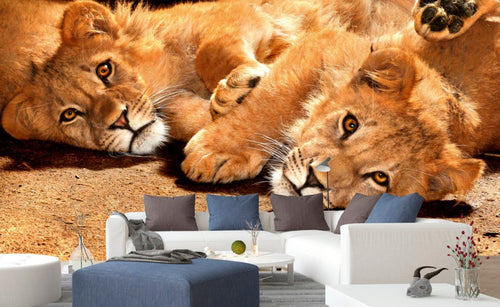Dimex Young Lions Wall Mural 375x250cm 5 Panels Ambiance | Yourdecoration.com