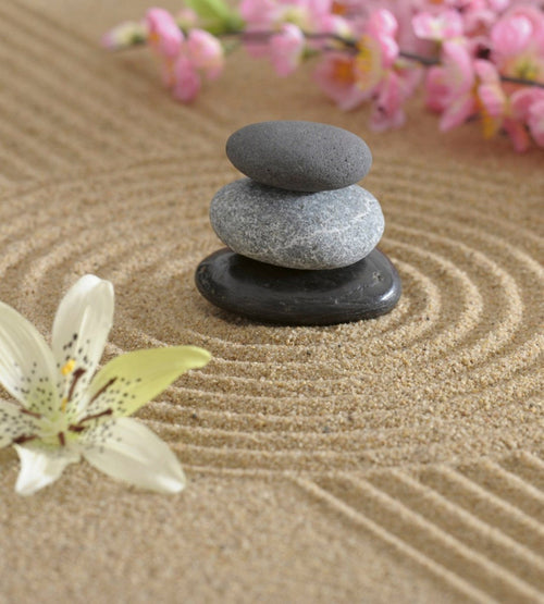 Dimex Zen Garden Wall Mural 225x250cm 3 Panels | Yourdecoration.com