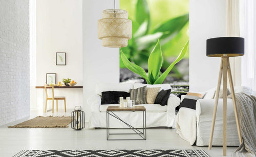 Dimex Zen Stones Wall Mural 150x250cm 2 Panels Ambiance | Yourdecoration.com