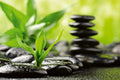 Dimex Zen Stones Wall Mural 375x250cm 5 Panels | Yourdecoration.com