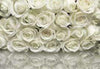 Komar A la Rose Wall Mural 368x254cm | Yourdecoration.com