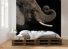 Komar Afrikaanse Olifant Non Woven Wall Mural 300X280Cm 6 Parts Ambiance | Yourdecoration.com