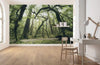 Komar Ancient Green Non Woven Wall Mural 450x280cm 9 Panels Ambiance | Yourdecoration.com