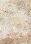 Komar Ancient Times Non Woven Wall Mural 200x280cm 2 Panels | Yourdecoration.com