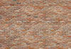 Komar Backstein Wall Mural 368x254cm | Yourdecoration.com