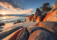 Komar Bay of Fires Non Woven Wall Mural 400x280cm 8 Panels | Yourdecoration.com
