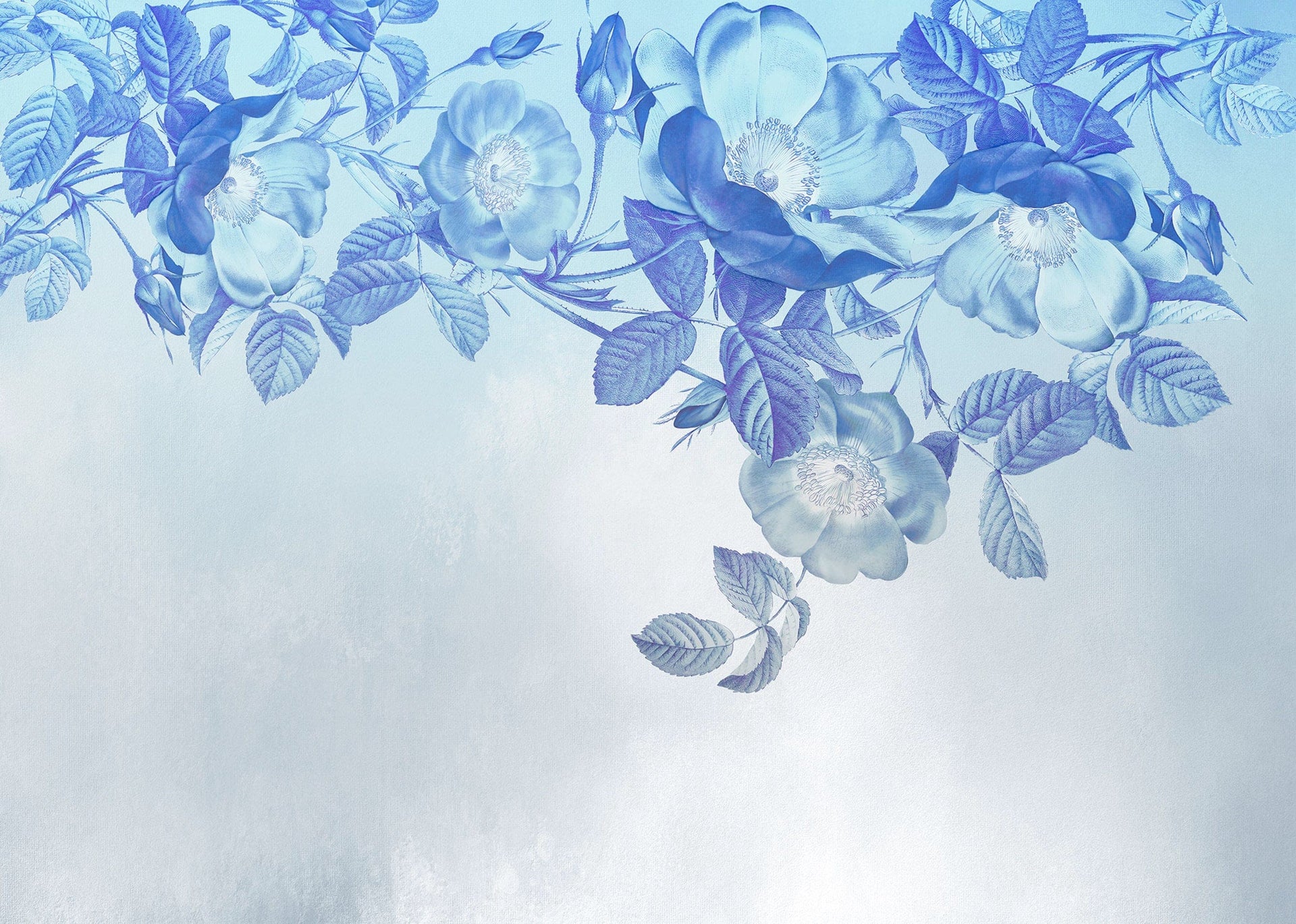 Komar Blue Aura Non Woven Wall Mural 350X250cm 7 Panels | Yourdecoration.com