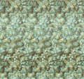 Komar Botanique Vert Non Woven Wall Mural 300x280cm 6 Panels | Yourdecoration.com