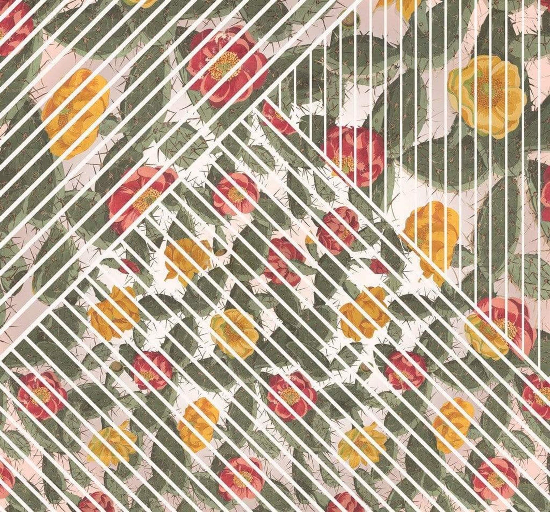 Komar Cactus Non Woven Wall Mural 300x280cm 6 Panels | Yourdecoration.com