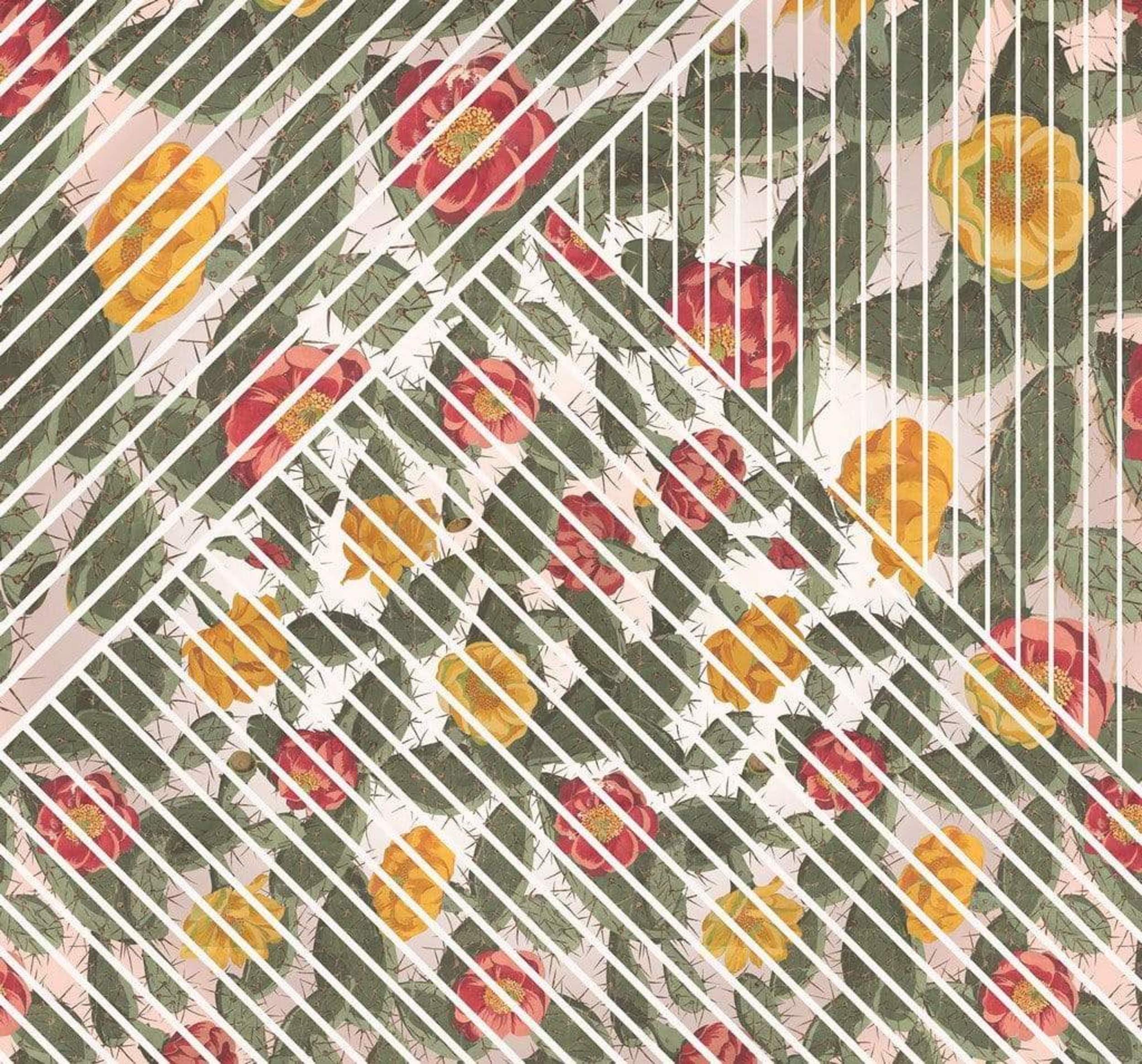 Komar Cactus Non Woven Wall Mural 300x280cm 6 Panels | Yourdecoration.com