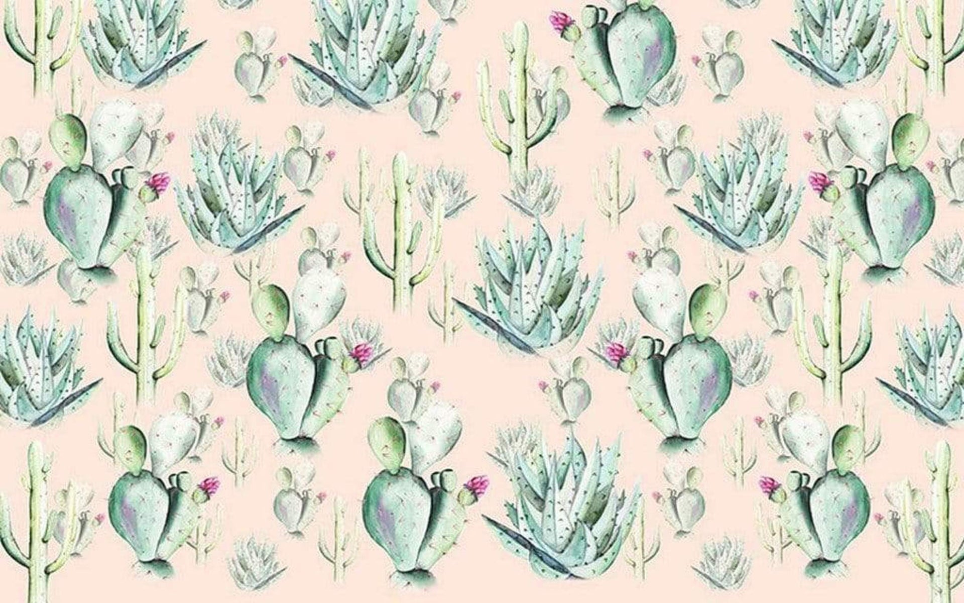 Komar Cactus Rose Non Woven Wall Mural 400x250cm 4 Panels | Yourdecoration.com
