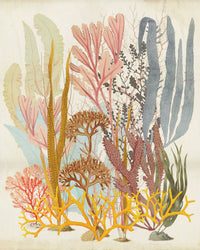 Komar Catchy Corals Non Woven Wall Murals 200x250cm 2 panels | Yourdecoration.com