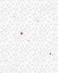 Komar Cherry Blossom Non Woven Wall Mural 200x250cm 2 Panels | Yourdecoration.com