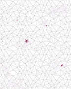 Komar Cherry Blossom Non Woven Wall Mural 200x250cm 2 Panels | Yourdecoration.com