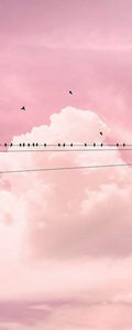 Komar Cloud Wire Non Woven Wall Mural 100x250cm 1 baan | Yourdecoration.com