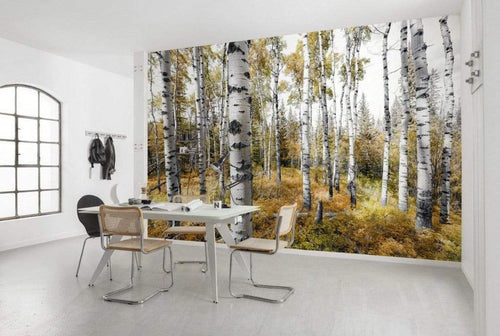 Komar Colorful Aspenwoods Non Woven Wall Mural 450x280cm 9 Panels Ambiance | Yourdecoration.com