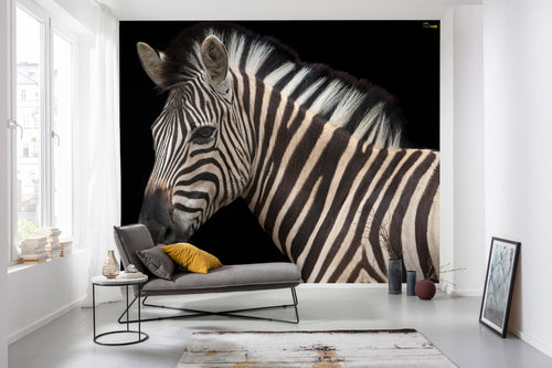 Komar Damara Zebra Non Woven Wall Mural 400X280Cm 6 Parts Ambiance | Yourdecoration.com