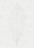 Komar Decent Leaf Non Woven Wall Mural 200x280cm 2 Panels | Yourdecoration.com