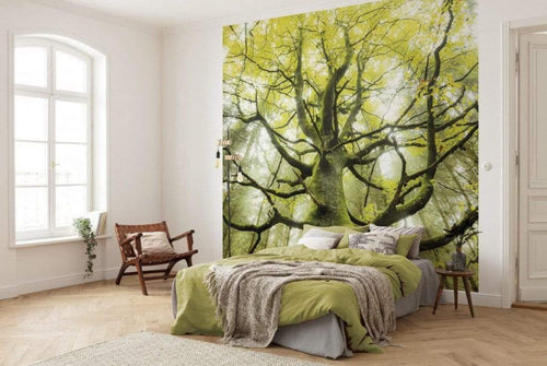 Komar Der Traumbaum Non Woven Wall Mural 300x280cm 6 Panels Ambiance | Yourdecoration.com