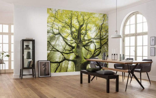 Komar Der Traumbaum Non Woven Wall Mural 450x280cm 9 Panels Ambiance | Yourdecoration.com