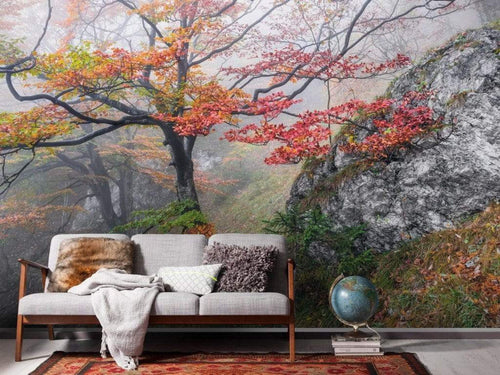 Komar Euphoria Non Woven Wall Mural 300x200cm 3 Panels Ambiance | Yourdecoration.com