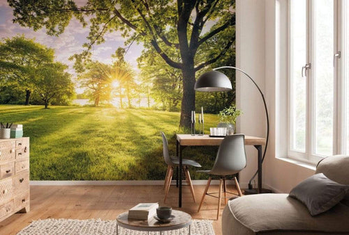 Komar Golden Moment Non Woven Wall Mural 400x250cm 4 Panels Ambiance | Yourdecoration.com