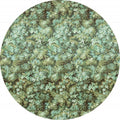 Komar Greenery Wall Mural 125x125cm Round | Yourdecoration.com