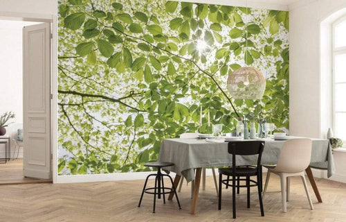 Komar Im Fruhlingswald Non Woven Wall Mural 250x280cm 5 Panels Ambiance | Yourdecoration.com