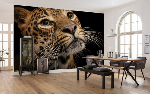 Komar Javaanse Tijger Non Woven Wall Mural 400X280Cm 6 Parts Ambiance | Yourdecoration.com