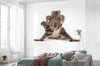 Komar Koala Non Woven Wall Mural 300X280Cm 6 Parts Ambiance | Yourdecoration.com