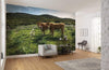 Komar Kuhparadies Non Woven Wall Mural 450x280cm 9 Panels Ambiance | Yourdecoration.com
