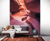 Komar Lost in Color Non Woven Wall Mural 200x250cm 2 Panels Ambiance | Yourdecoration.com