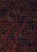 Komar Lotus Non Woven Wall Mural 200x280cm 4 Panels | Yourdecoration.com