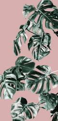 Komar Monstera Rose Groen Non Woven Wall Mural 100x250cm 1 baan | Yourdecoration.com