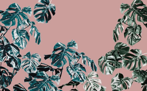 Komar Monstera Rose Non Woven Wall Mural 400x250cm 4 Panels | Yourdecoration.com