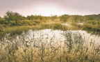 Komar Morning View II Non Woven Wall Mural 400x250cm 4 Panels | Yourdecoration.com