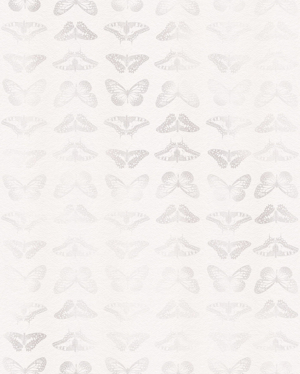 Komar Mur De Papillons Non Woven Wall Mural 200X250cm 4 Panels | Yourdecoration.com