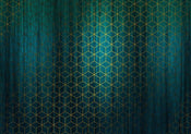 Komar Mystique Vert Non Woven Wall Mural 400x280cm 8 Panels | Yourdecoration.com