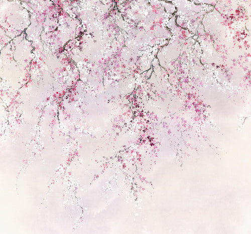 Komar Non Woven Wall Mural Inx6 013 Kirschblüten | Yourdecoration.com