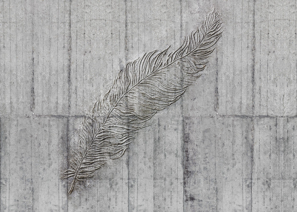 Komar Non Woven Wall Mural X7 1023 Concrete Feather | Yourdecoration.com