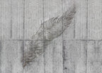 Komar Non Woven Wall Mural X7 1023 Concrete Feather | Yourdecoration.com